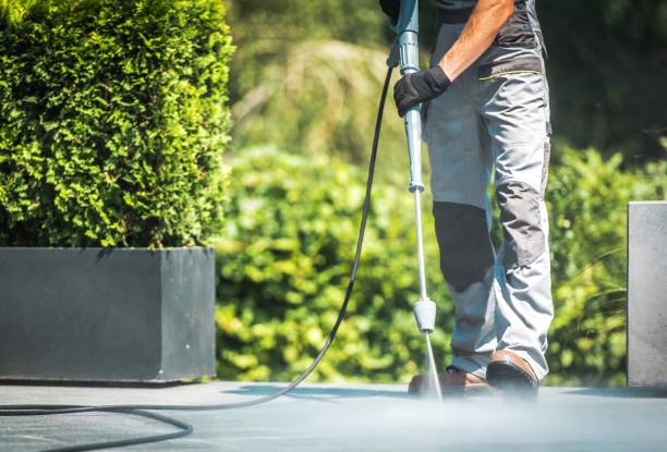 Best Driveway Pressure Washing  in Baden, MD