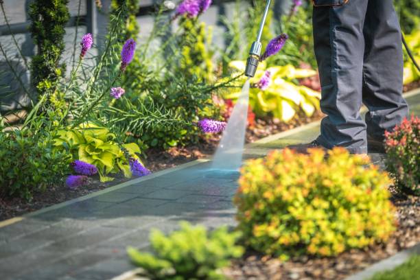 Best Animal Enclosure Cleaning  in Baden, MD
